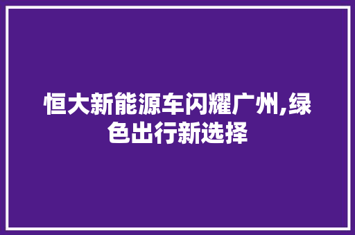 恒大新能源车闪耀广州,绿色出行新选择