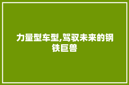 力量型车型,驾驭未来的钢铁巨兽