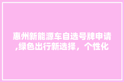 惠州新能源车自选号牌申请,绿色出行新选择，个性化车牌彰显环保理念 变速箱配件