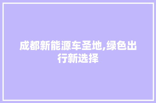 成都新能源车圣地,绿色出行新选择 新款车型
