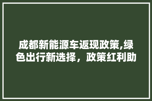 成都新能源车返现政策,绿色出行新选择，政策红利助力环保未来