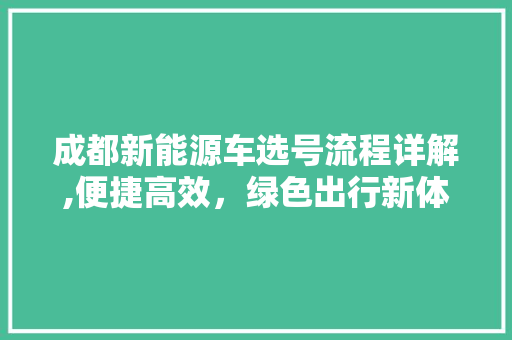 成都新能源车选号流程详解,便捷高效，绿色出行新体验