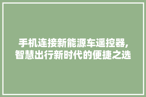 手机连接新能源车遥控器,智慧出行新时代的便捷之选