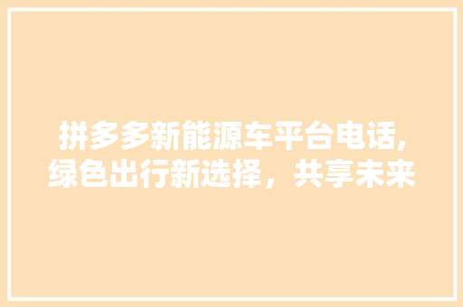 拼多多新能源车平台电话,绿色出行新选择，共享未来出行时代