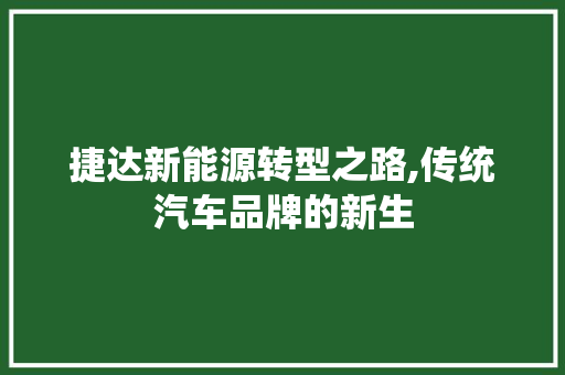 捷达新能源转型之路,传统汽车品牌的新生