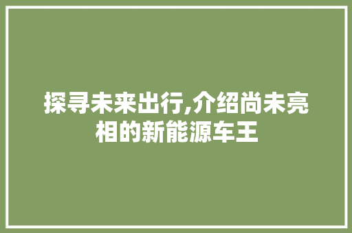 探寻未来出行,介绍尚未亮相的新能源车王