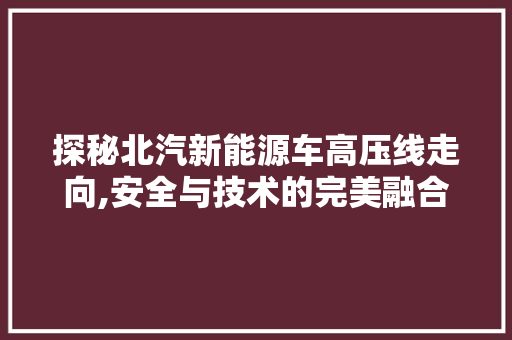 探秘北汽新能源车高压线走向,安全与技术的完美融合