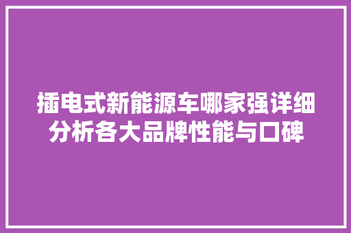 插电式新能源车哪家强详细分析各大品牌性能与口碑