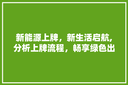 新能源上牌，新生活启航,分析上牌流程，畅享绿色出行 汽车配件