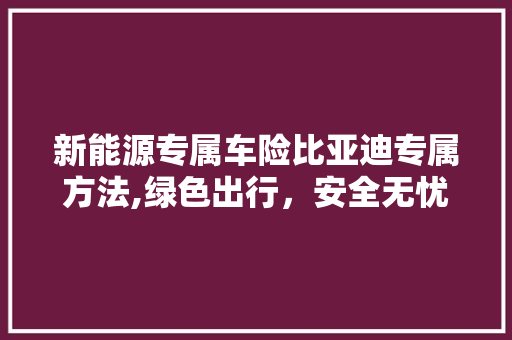 新能源专属车险比亚迪专属方法,绿色出行，安全无忧