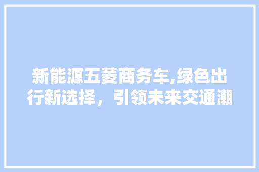 新能源五菱商务车,绿色出行新选择，引领未来交通潮流