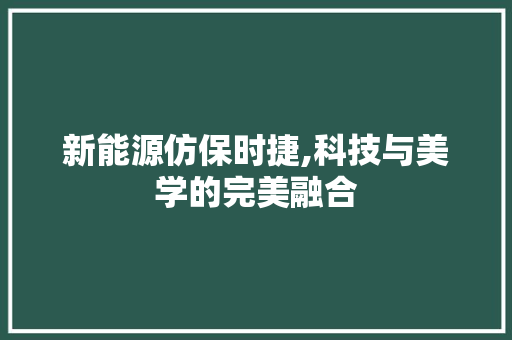 新能源仿保时捷,科技与美学的完美融合