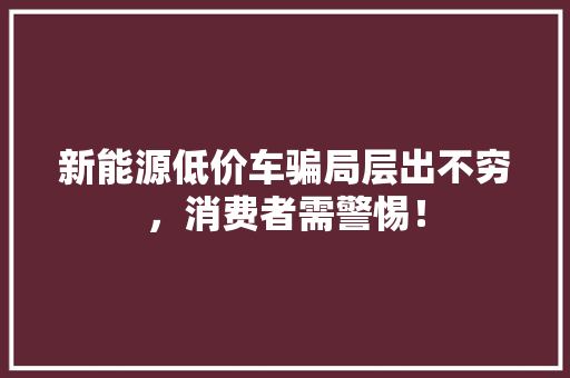 新能源低价车骗局层出不穷，消费者需警惕！