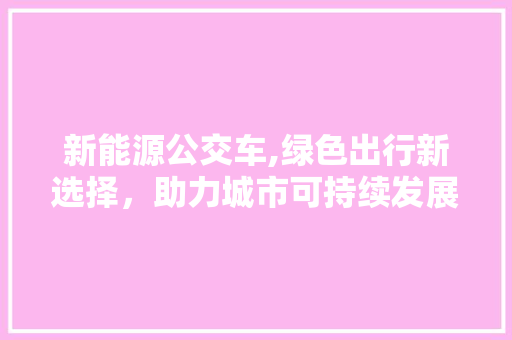 新能源公交车,绿色出行新选择，助力城市可持续发展