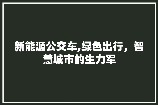 新能源公交车,绿色出行，智慧城市的生力军 汽车配件
