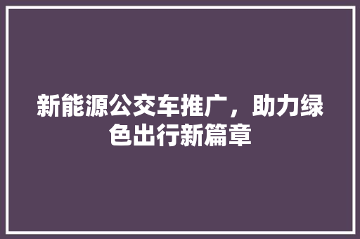 新能源公交车推广，助力绿色出行新篇章