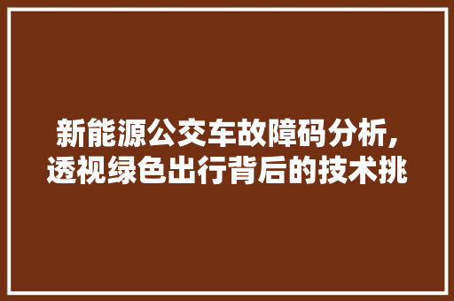 新能源公交车故障码分析,透视绿色出行背后的技术挑战 车身配件