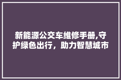新能源公交车维修手册,守护绿色出行，助力智慧城市