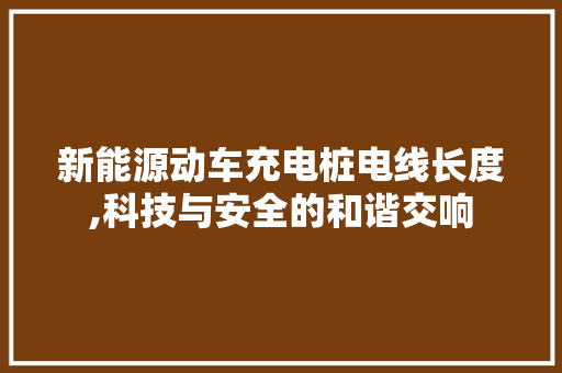 新能源动车充电桩电线长度,科技与安全的和谐交响
