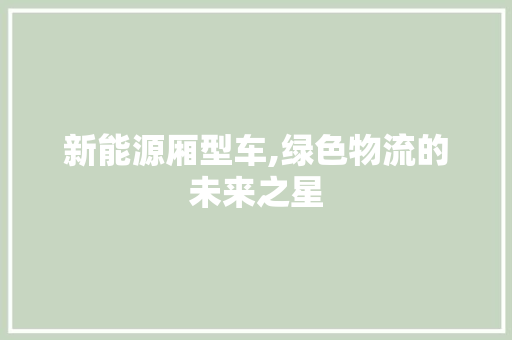 新能源厢型车,绿色物流的未来之星