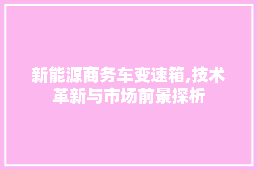 新能源商务车变速箱,技术革新与市场前景探析