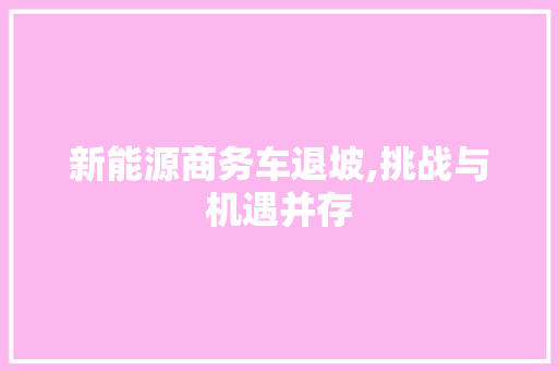 新能源商务车退坡,挑战与机遇并存