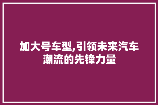 加大号车型,引领未来汽车潮流的先锋力量