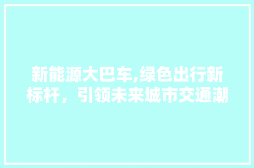 新能源大巴车,绿色出行新标杆，引领未来城市交通潮流