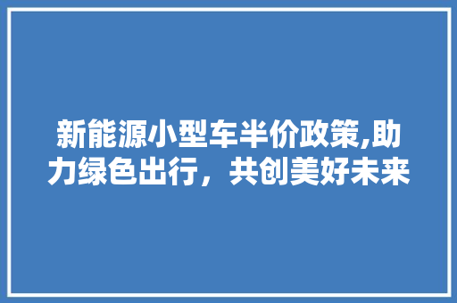 新能源小型车半价政策,助力绿色出行，共创美好未来