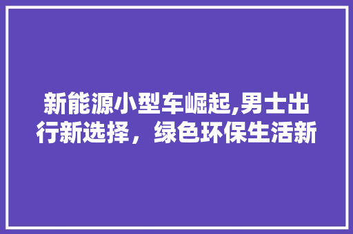 新能源小型车崛起,男士出行新选择，绿色环保生活新风尚