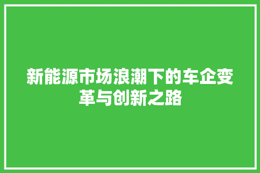 新能源市场浪潮下的车企变革与创新之路