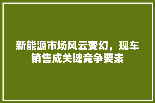 新能源市场风云变幻，现车销售成关键竞争要素