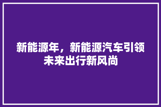 新能源年，新能源汽车引领未来出行新风尚