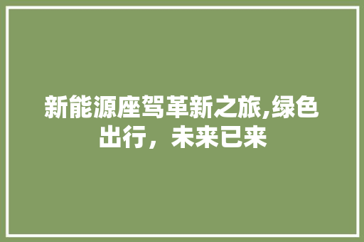 新能源座驾革新之旅,绿色出行，未来已来