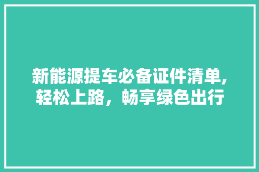 新能源提车必备证件清单,轻松上路，畅享绿色出行