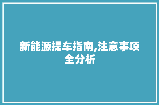 新能源提车指南,注意事项全分析
