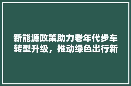 新能源政策助力老年代步车转型升级，推动绿色出行新时代