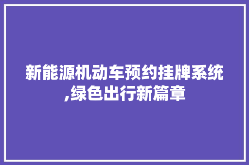 新能源机动车预约挂牌系统,绿色出行新篇章