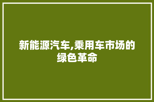 新能源汽车,乘用车市场的绿色革命
