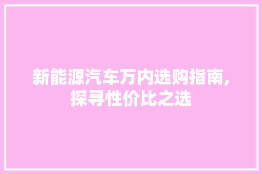 新能源汽车万内选购指南,探寻性价比之选