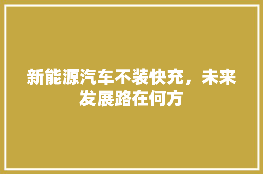 新能源汽车不装快充，未来发展路在何方