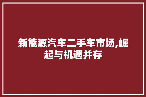 新能源汽车二手车市场,崛起与机遇并存