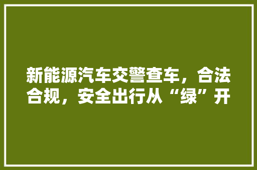 新能源汽车交警查车，合法合规，安全出行从“绿”开始