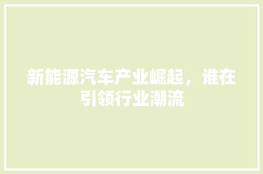 新能源汽车产业崛起，谁在引领行业潮流