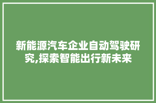 新能源汽车企业自动驾驶研究,探索智能出行新未来