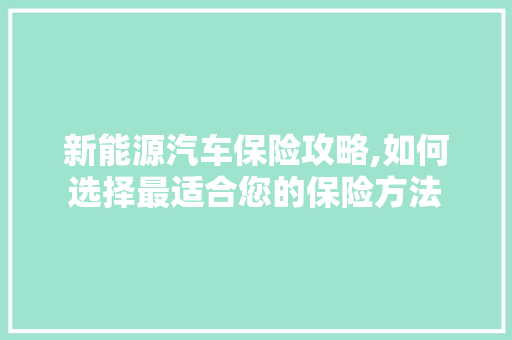 新能源汽车保险攻略,如何选择最适合您的保险方法
