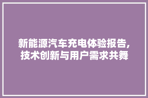 新能源汽车充电体验报告,技术创新与用户需求共舞 新款车型