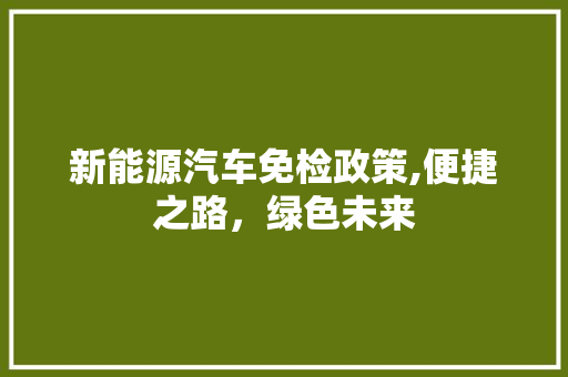 新能源汽车免检政策,便捷之路，绿色未来