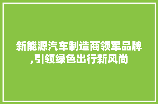 新能源汽车制造商领军品牌,引领绿色出行新风尚