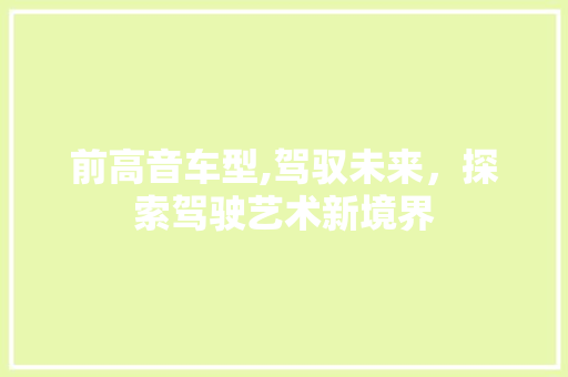 前高音车型,驾驭未来，探索驾驶艺术新境界